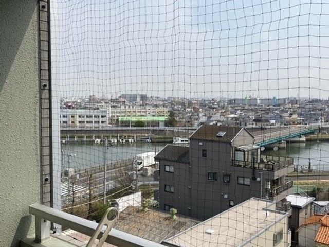 江戸川区を中心に鳩よけネット設置、忌避などをしています！