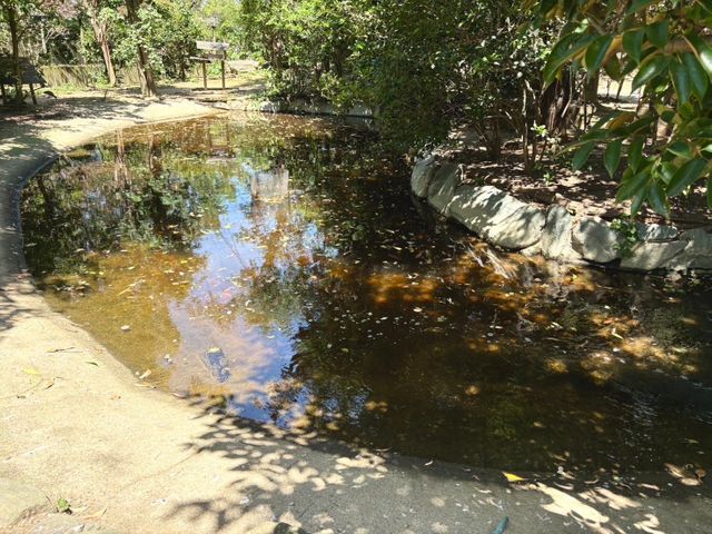 池の掃除ならお任せ下さい！