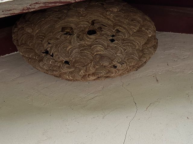 ★即レス即対応★安全第一で確実に駆除、1週間保証付きで安心