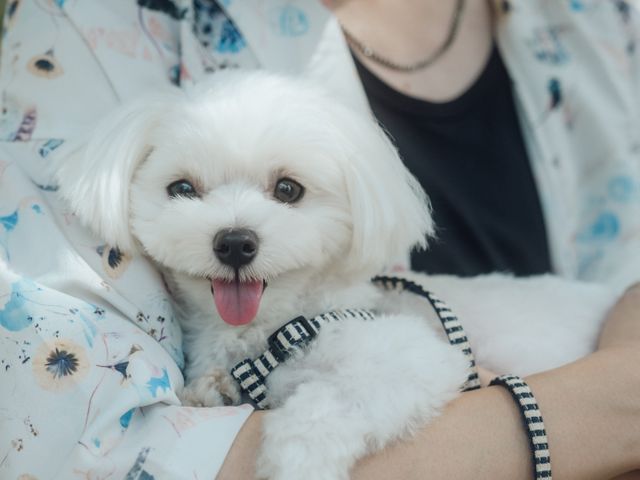 予約対応～撮影・納品まで当社スタッフがすべて対応します