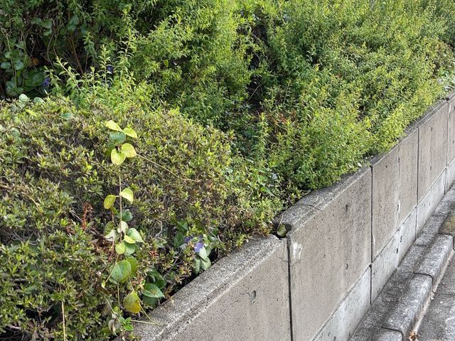 プロの技術でご満足いただけるように心を込めて作業いたします