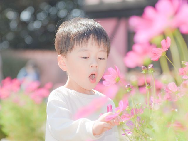 ★JBP協会認定ブロンズ会員