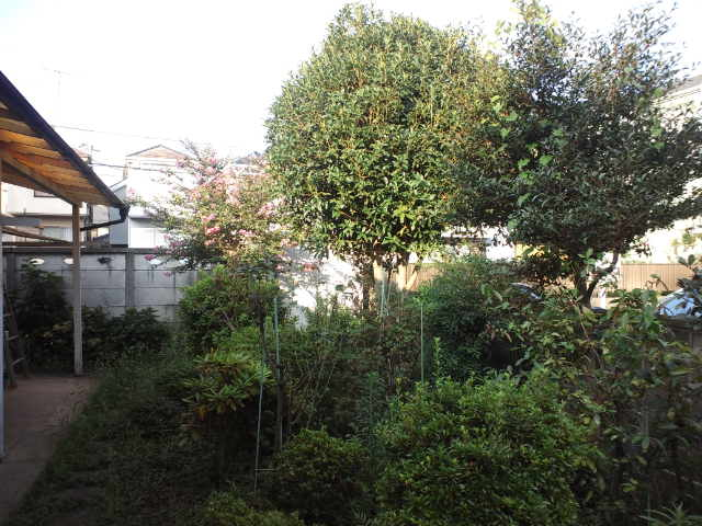 植木伐採、抜根。　きれいに仕上げます！本数に応じて値引きします。