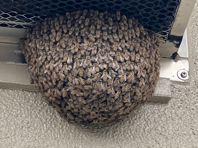 大手実績あり！迅速・丁寧な対応で安心を提供する専門家☆