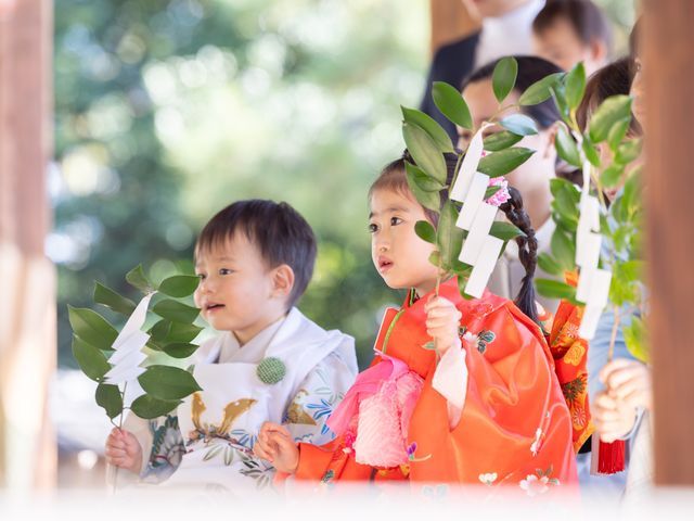 作例募集中、期間限定価格！柔らかい雰囲気の思い出づくり