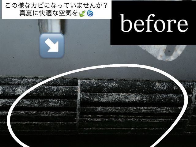 シーズン終盤 最安値値引き！基本料金より3000円安くなりました◎千葉県出発