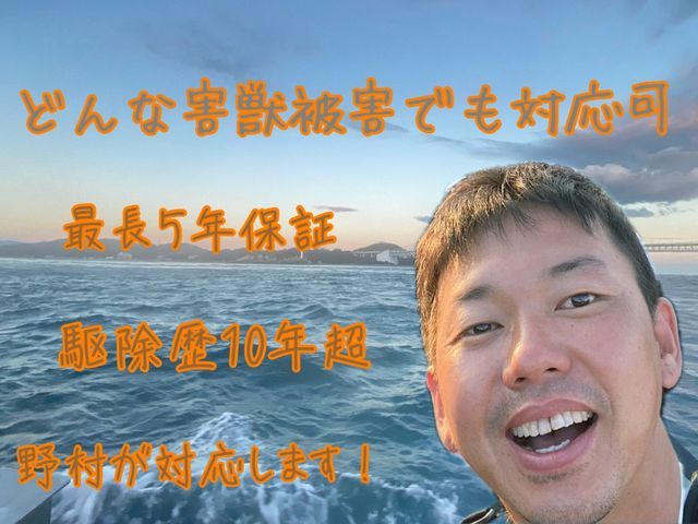 【害獣駆除年末まで空き僅か】1度口コミ覗いてください！調査〜お見積りまで無料！