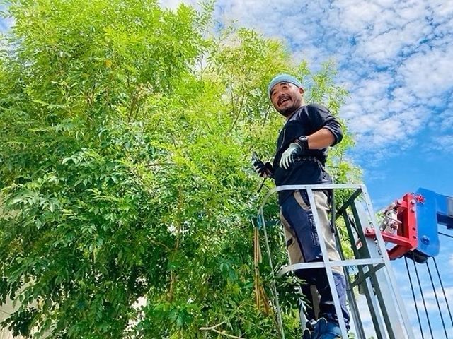 【どんな高さも対応可能】迅速な現場対応と丁寧な仕上がりで理想のお庭へ