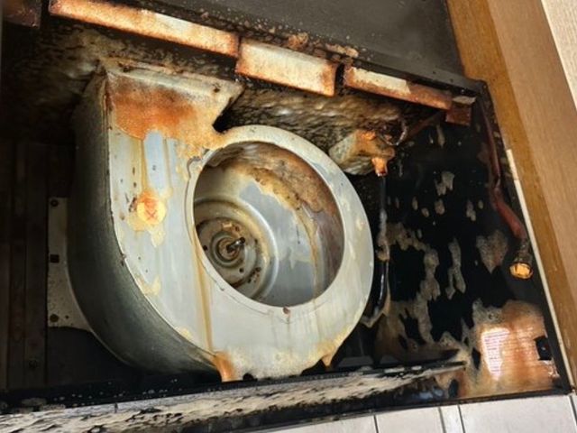 ◆◇徹底洗浄で快適空間◇◆ 今だけ新規出店キャンペーン！