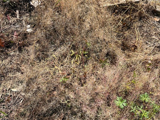 1㎡から草刈り致します。