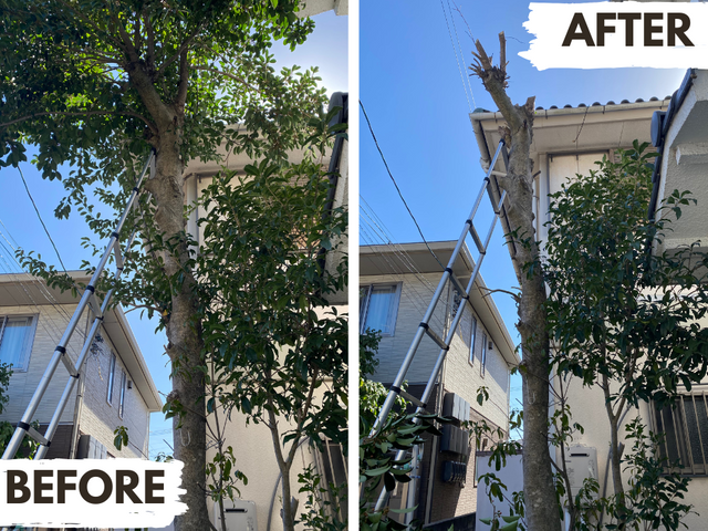 岡山在住の5児パパがお庭をすっきり