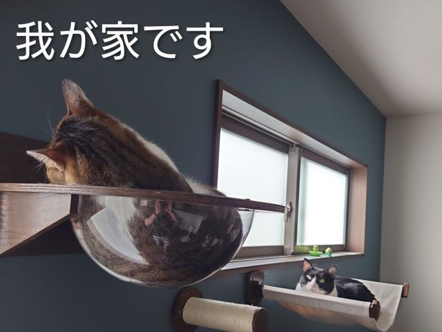 「お客様第一」を徹底！丁寧な養生・清掃で、安心してお任せいただける職人サービスサービスの画像