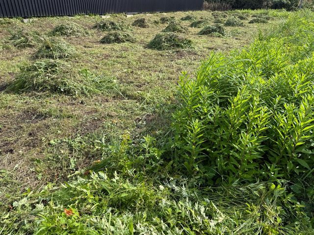 【空き家〜管理の行き届かない場所まで】大手経験者による丁寧な仕上がりで安心