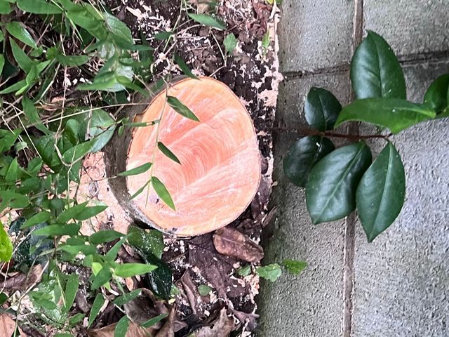 11月新出店◎自清潔で丁寧な作業【 茂原市】12月末までゴミ回収最大50%オフ