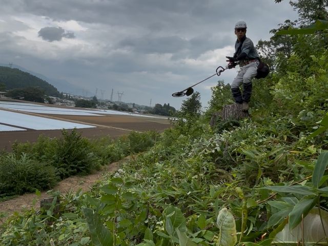 草刈り　伐採