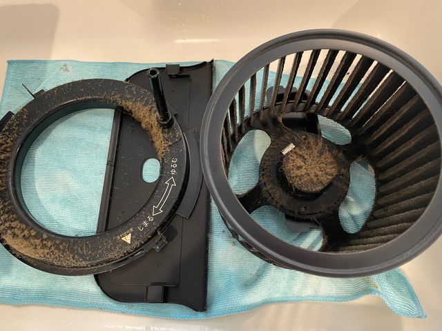 女性スタッフの私一人でお伺いします！わんちゃんねこちゃんいらっしゃるご家庭大歓迎