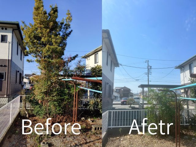 ◆庭木の伐採・剪定、森にお任せ！◆地元密着で安心・丁寧！