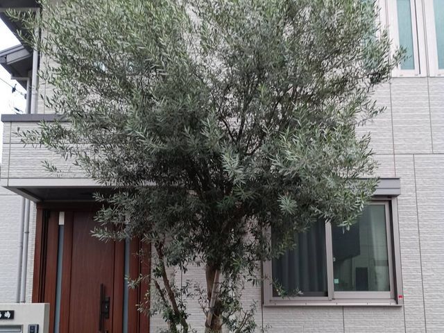 プロの技術でご満足いただけるように心を込めて作業いたします