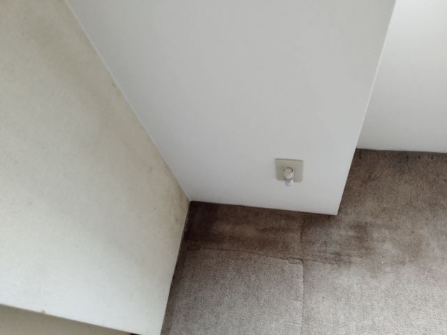 新規出店　大手での作業経験が有るスタッフが対応させて頂いております。