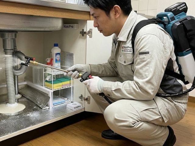 即日対応！引越し前対策｜プロのゴキブリ駆除｜再発防止まで徹底施工｜水回り封鎖込