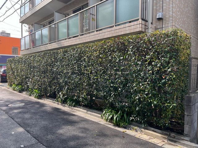 江戸川区発！業界歴10年以上◎アフターケアも力入れています！