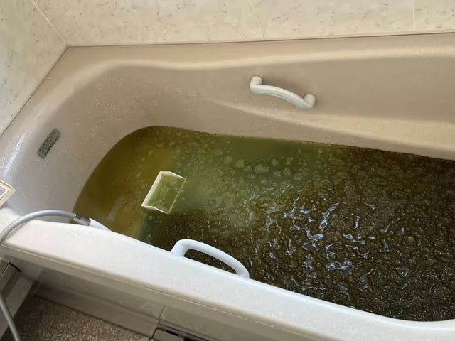 5月新出店◎子ども・ペット安心のエコ洗剤◎事前説明【小田原市】