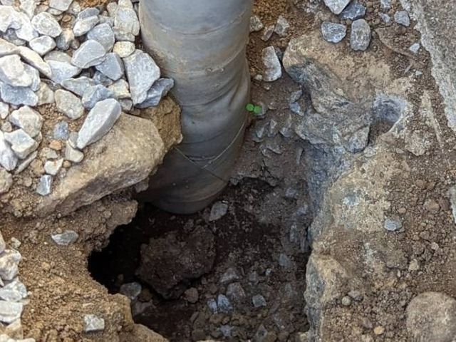 ネズミの事を知り尽くしています。千葉、神奈川、東京、埼玉無料見積もり対応します。