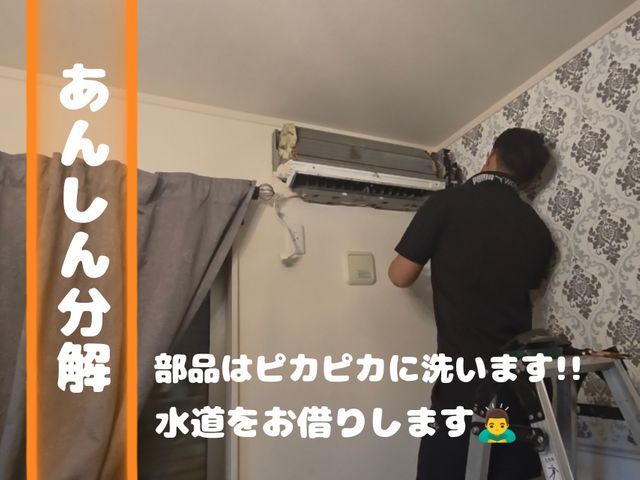 【祝！出店セール】笑顔で明るく誠実に.ᐟ.ᐟ自社対応、男女スタッフ.ᐟ‪.ᐟ‪