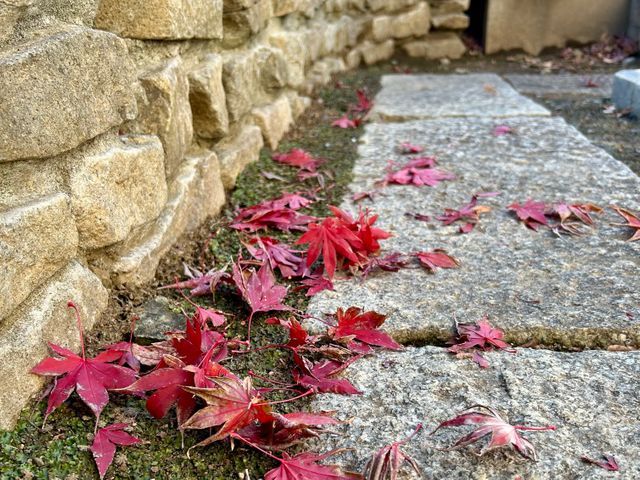 3年間100件以上の実績！大手企業も信頼するスペシャリストがご要望に完全対応