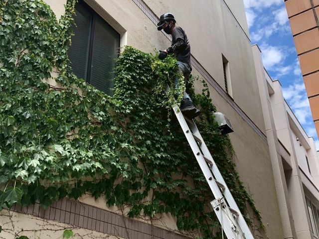 プロの技術でご満足いただけるように心を込めて作業いたします