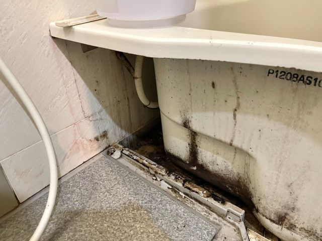 【損害保険加盟店】◉安心の法人店舗◉隅々まで美しく仕上げるプロのチームが訪問