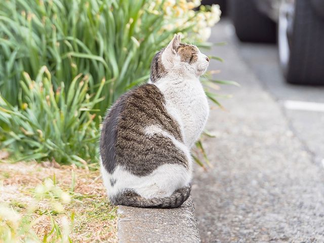 【横浜発】年間300件以上の豊富な撮影実績！翌日納品！室内可！多彩な支払方法！