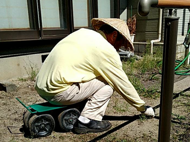 草むしり及び小枝切り 便利屋七福人の草むしり 手作業 くらしのマーケット