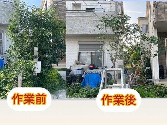 庭木スッキリ！丁寧仕上げ剪定！4月の予約受付中！