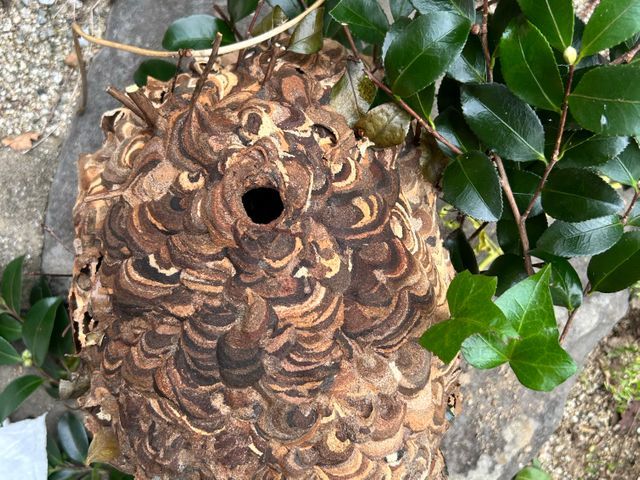 ★施工後1カ月保証★　夜間早朝対応もご相談ください！