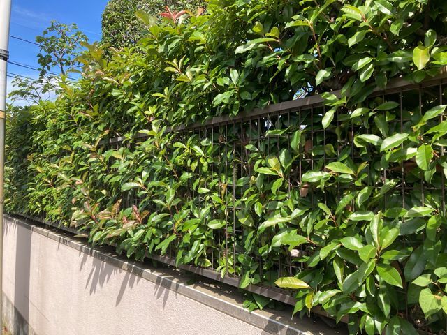 即レス即対応！造園施工管理技士が住宅から公共事業まで多数実績で安心