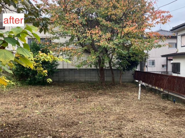 年内の作業可能・新年のために落ち葉の清掃いかがですか。丁寧で評判のお庭専門店です