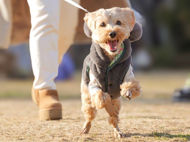 プロの技術でご満足いただけるように心を込めて撮影いたします