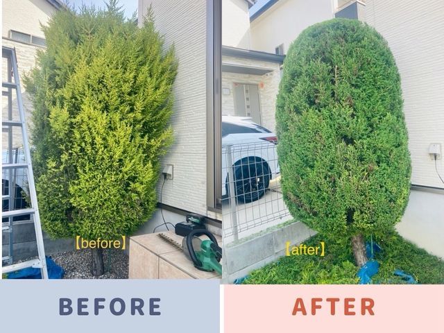 【地域密着】実家・空き家のお庭も安心。庭木が多いお庭の剪定もお任せください！