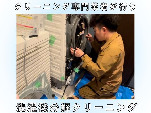 洗濯槽丸ごと分解洗浄♬.*ﾟワカメ、臭いの改善！ご出産の準備に！