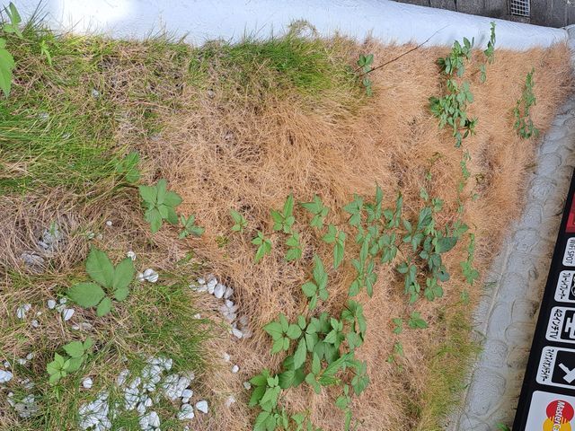 クレジット決済可能●防犯！防草！に砂利敷きがおすすめです!是非ご検討ください。