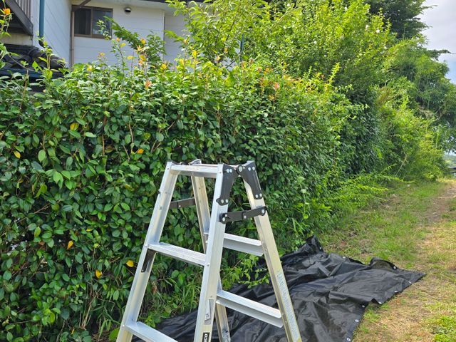 お見積り無料ですので、まずはお気軽にお問い合わせください❀