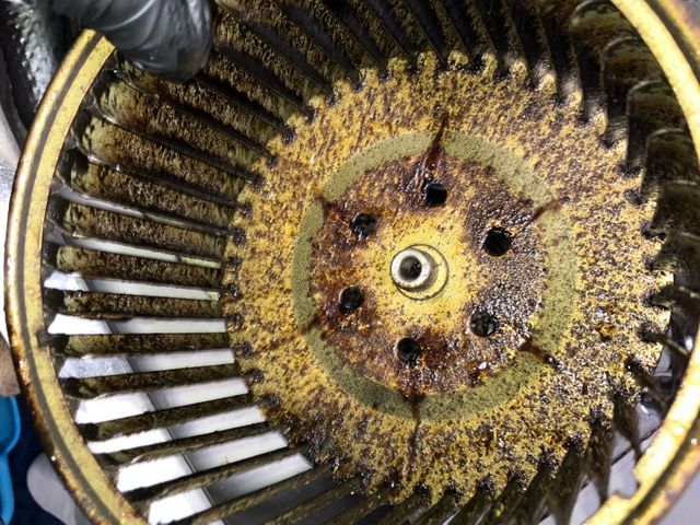 レンジフード分解清掃