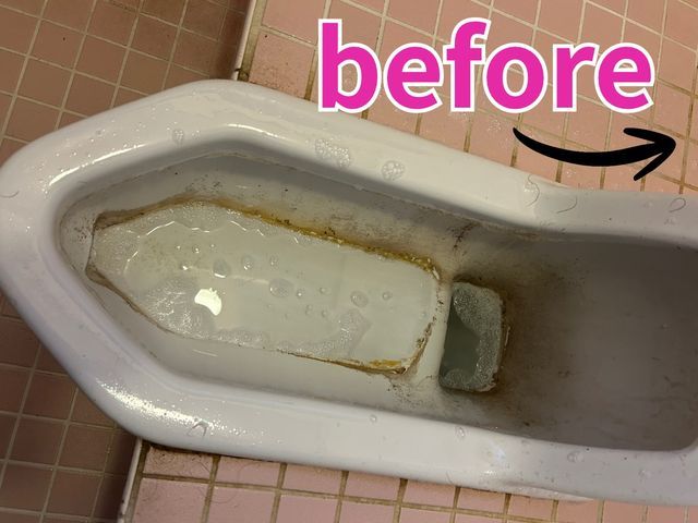 「汚くても大丈夫です！」女性スタッフのトイレ掃除｜丁寧な対応・水回りまとめてOK