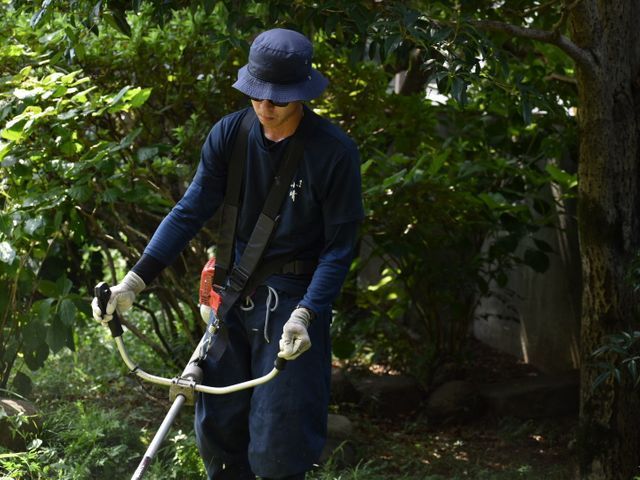 【越谷発】植木屋が丁寧に素早く草刈り致します！ご依頼お待ちしております！