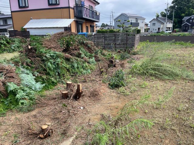 伐採や枝落とし