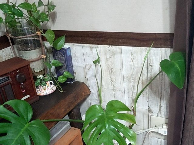 買い物代行致します！