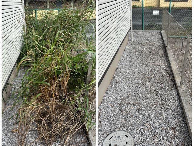 草刈り【女性スタッフ同行可能】