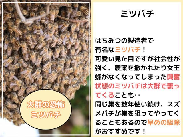 ◆9年間で1000件以上の実績◆大手経験者による確実な仕上がりをお約束◉