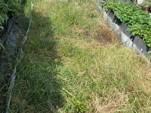 【年中無休・24時間対応】店長が必ず伺う◎損保加入☆広い敷地も斜面もお任せ